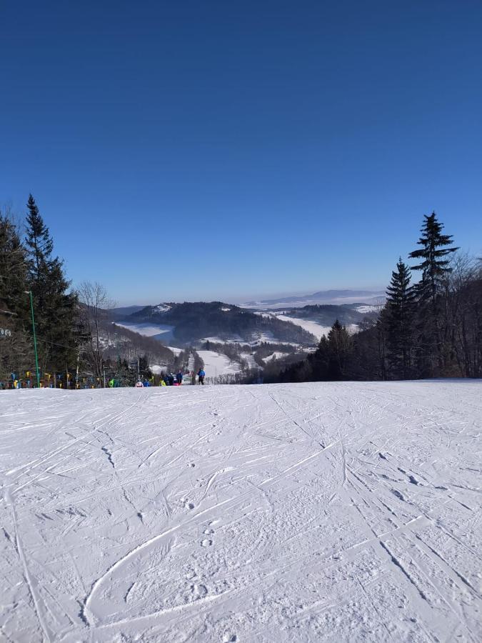 44 Slaska Kamienna Gora Extérieur photo